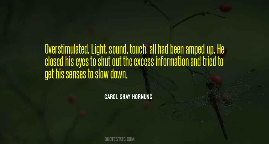 Carol Shay Hornung Quotes #1664928