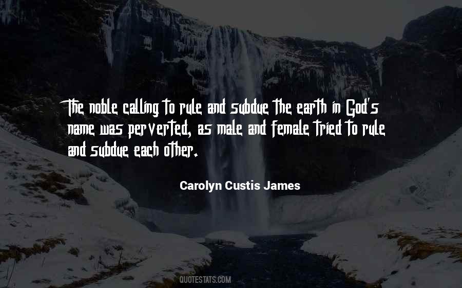 Carolyn Custis James Quotes #1723007