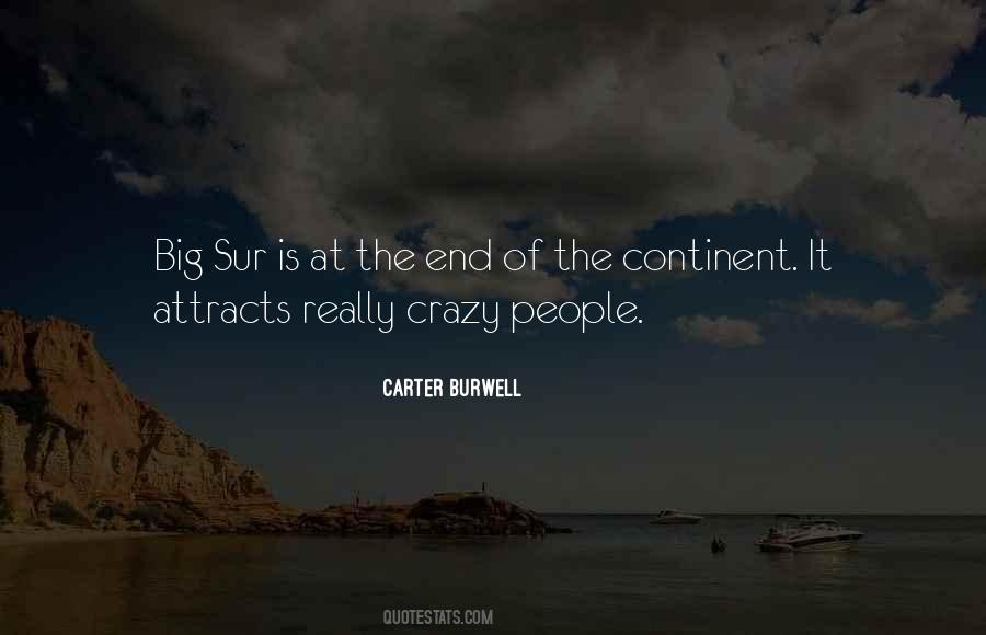 Carter Burwell Quotes #359995