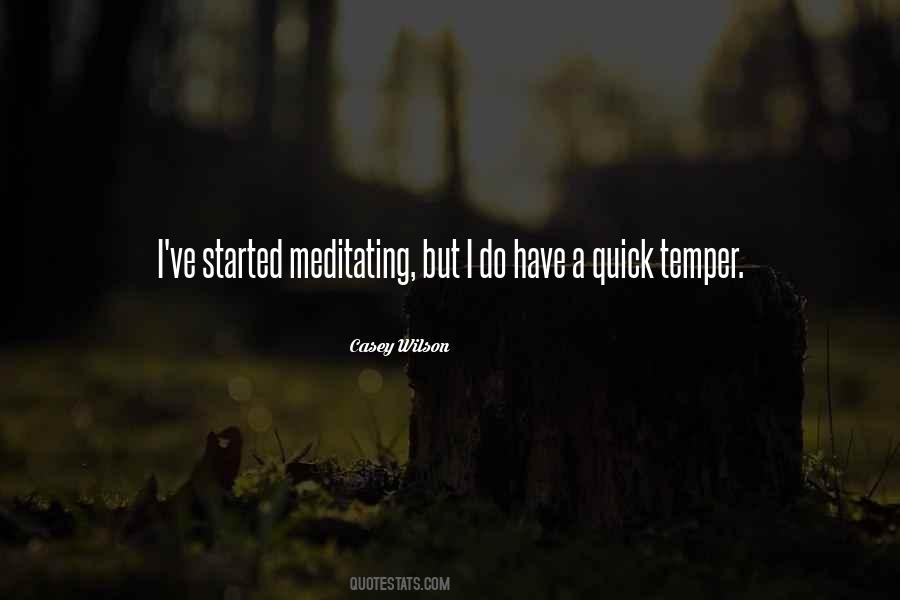 Casey Wilson Quotes #981568