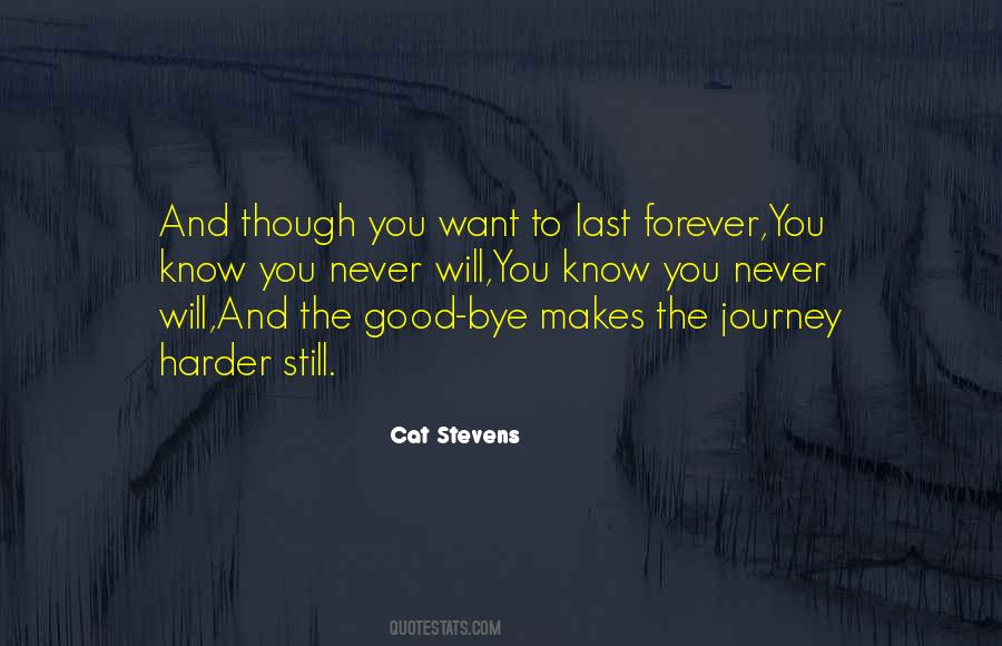 Cat Stevens Quotes #772585