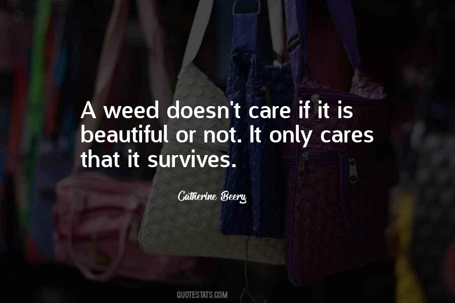 Catherine Beery Quotes #292168 Catherine Beery Quotes #292168