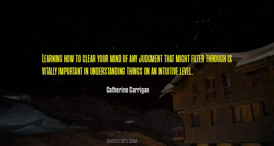 Catherine Carrigan Quotes #1407230