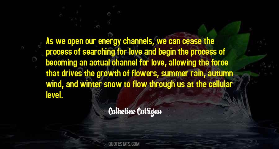 Catherine Carrigan Quotes #1804758