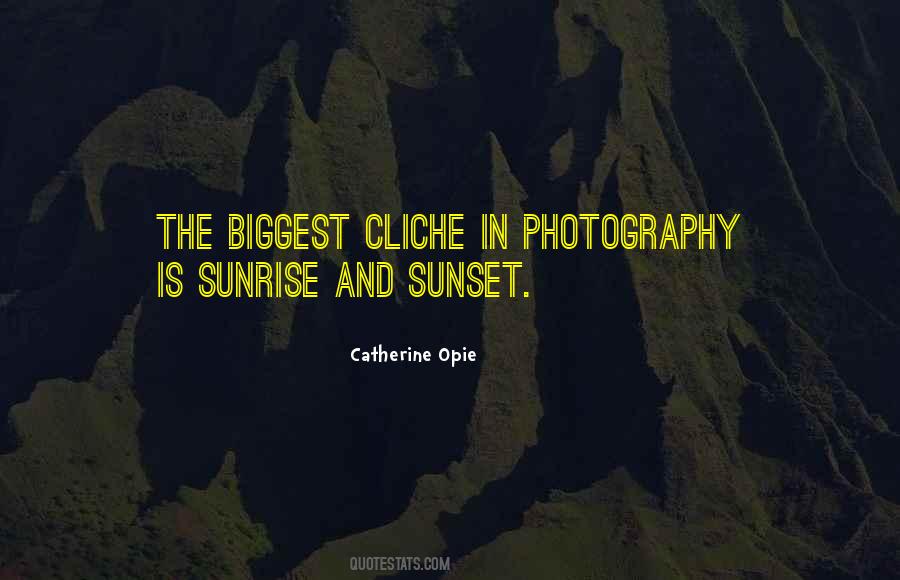 Catherine Opie Quotes #666335