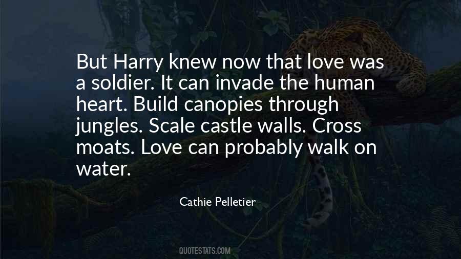 Cathie Pelletier Quotes #1040409