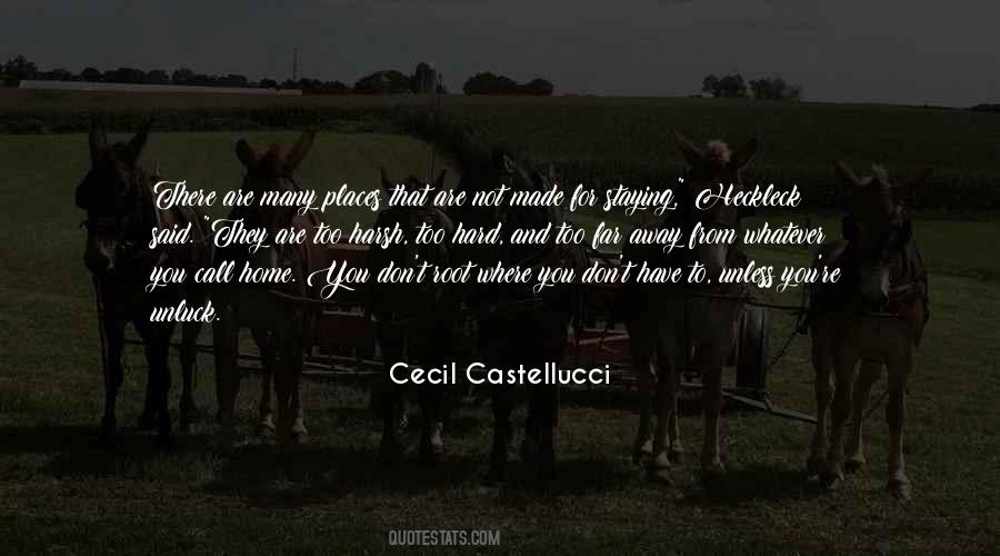 Cecil Castellucci Quotes #475244