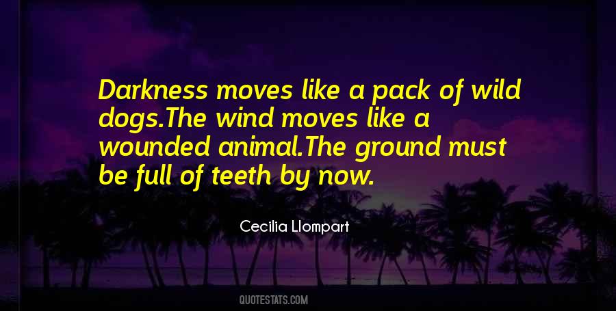 Cecilia Llompart Quotes #1338648