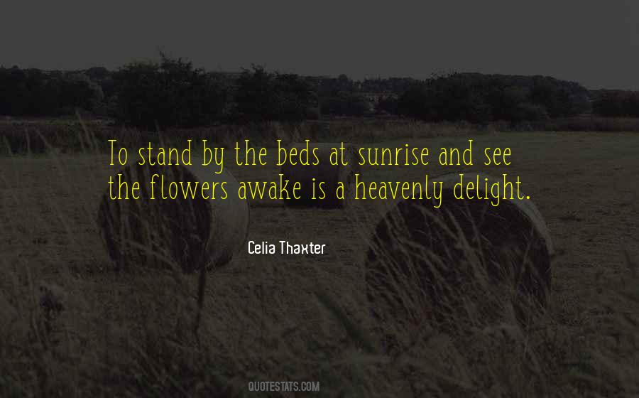 Celia Thaxter Quotes #724251