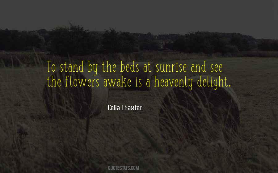 Celia Thaxter Quotes #724251