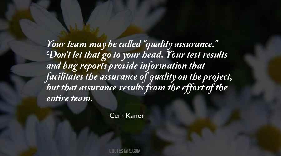 Cem Kaner Quotes #1701155