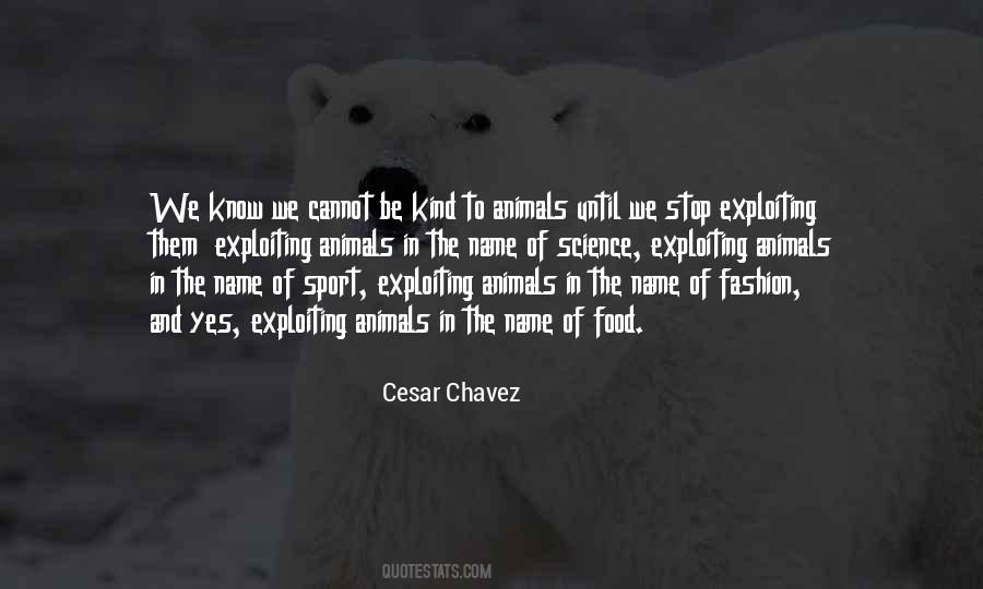 Cesar Chavez Quotes #164798