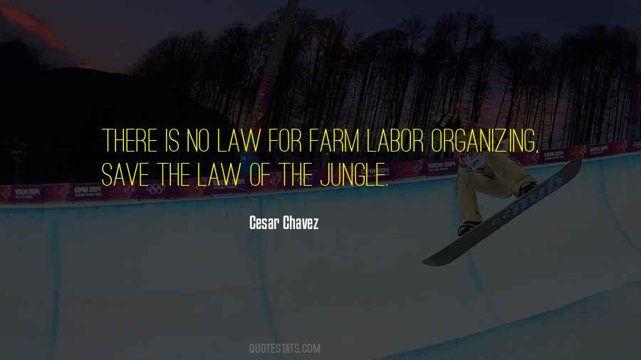 Cesar Chavez Quotes #417647