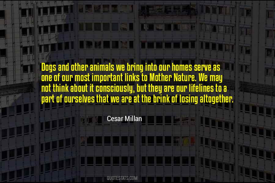 Cesar Millan Quotes #1020004