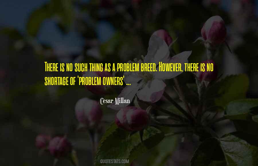 Cesar Millan Quotes #1147766