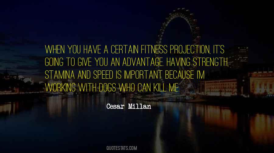 Cesar Millan Quotes #90988