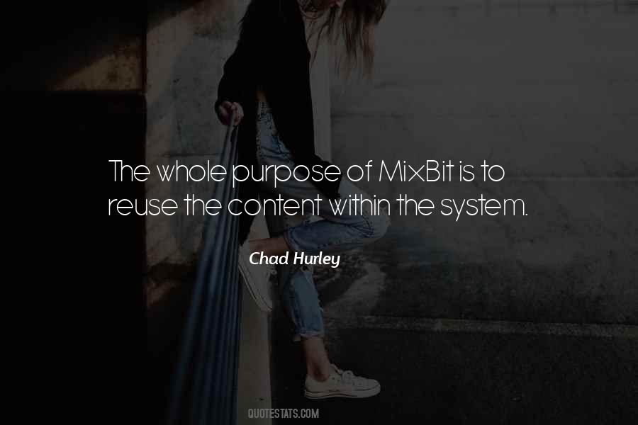 Chad Hurley Quotes #571777