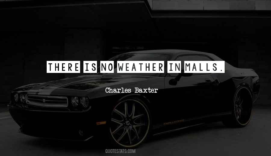 Charles Baxter Quotes #436727