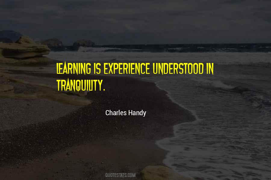 Charles Handy Quotes #40562