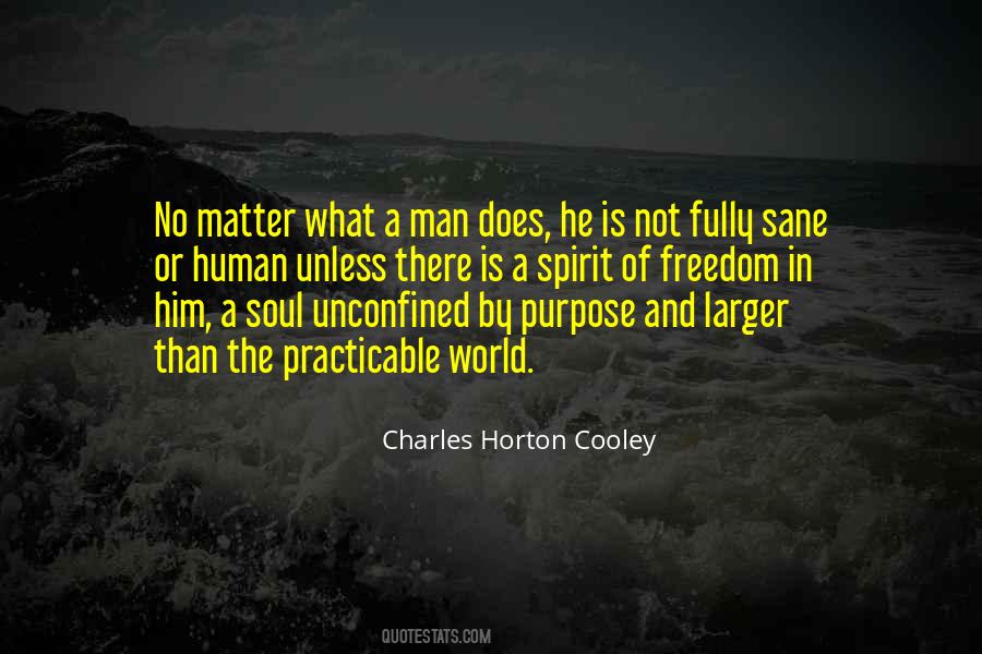 Charles Horton Cooley Quotes #913364