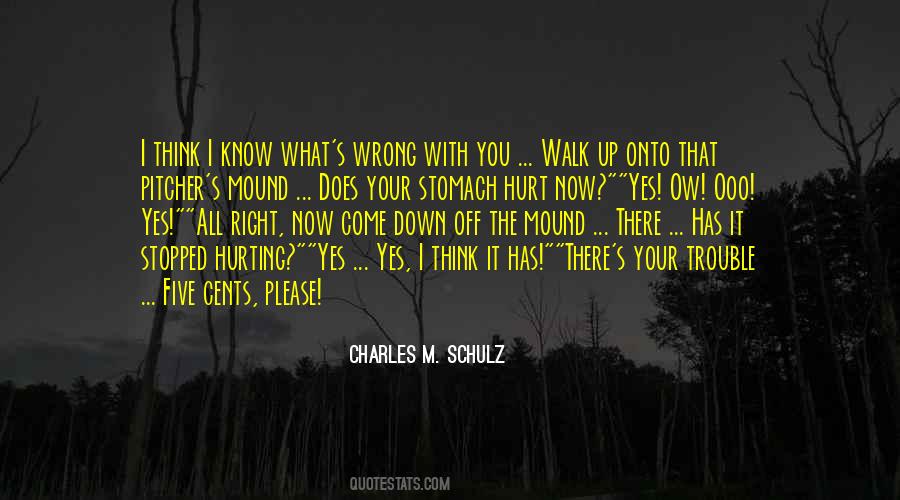 Charles M. Schulz Quotes #253139