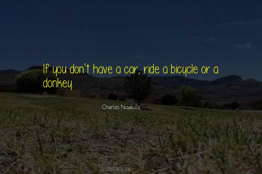 Charles Nqakula Quotes #828488 Charles Nqakula Quotes #828488