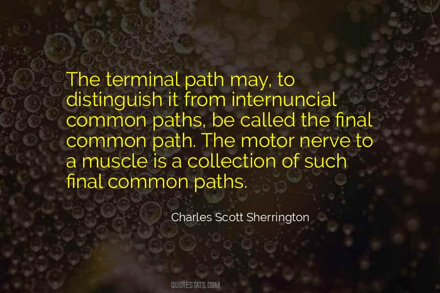 Charles Scott Sherrington Quotes #1185962
