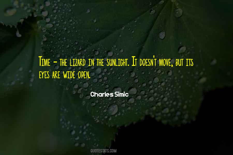 Charles Simic Quotes #1158831