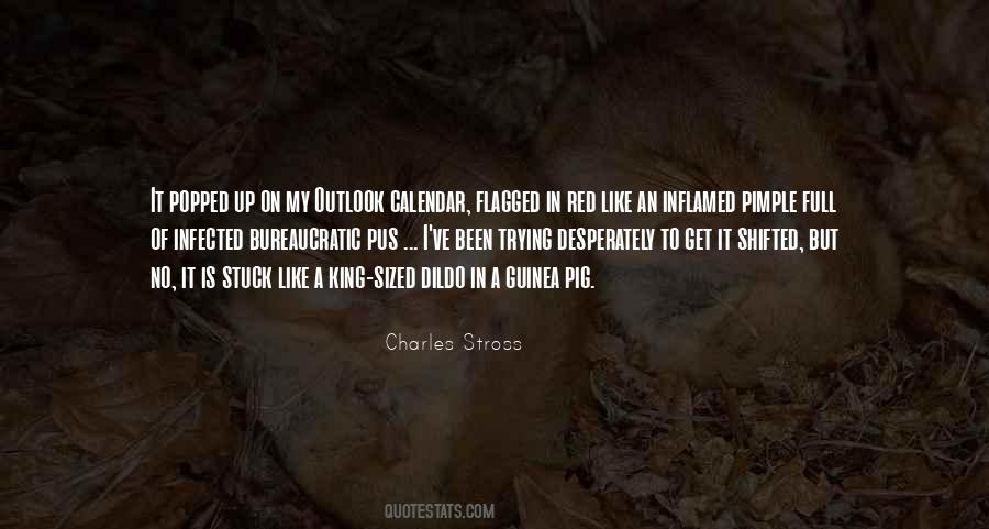 Charles Stross Quotes #1058047