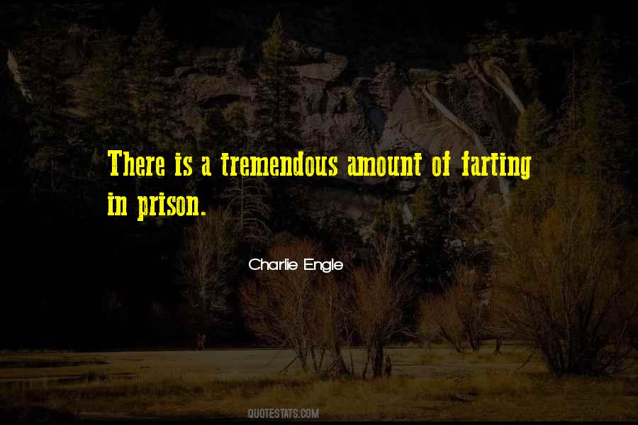 Charlie Engle Quotes #253162