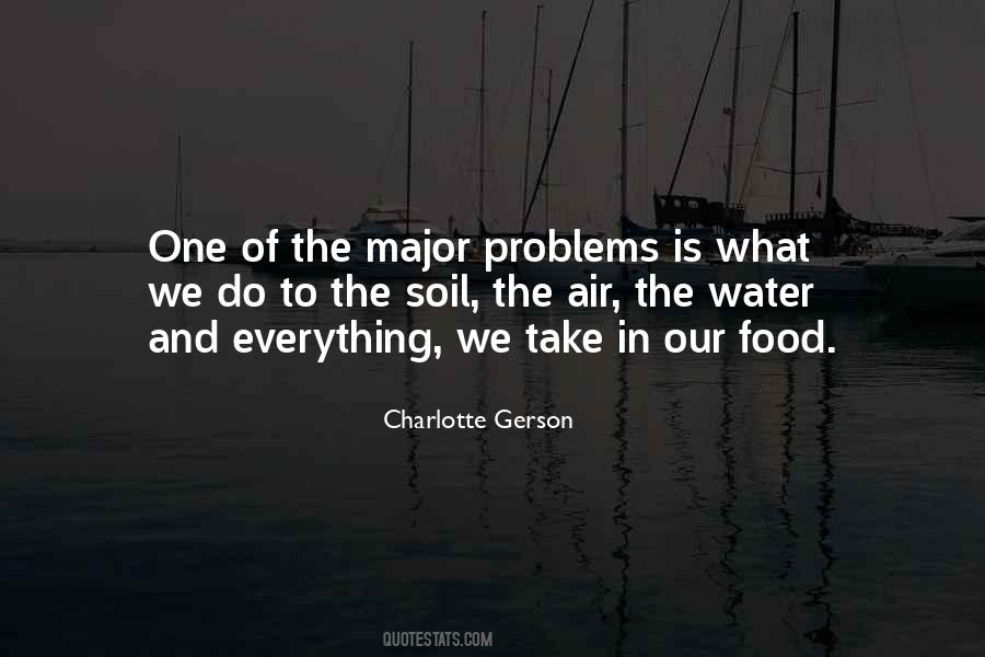 Charlotte Gerson Quotes #337642