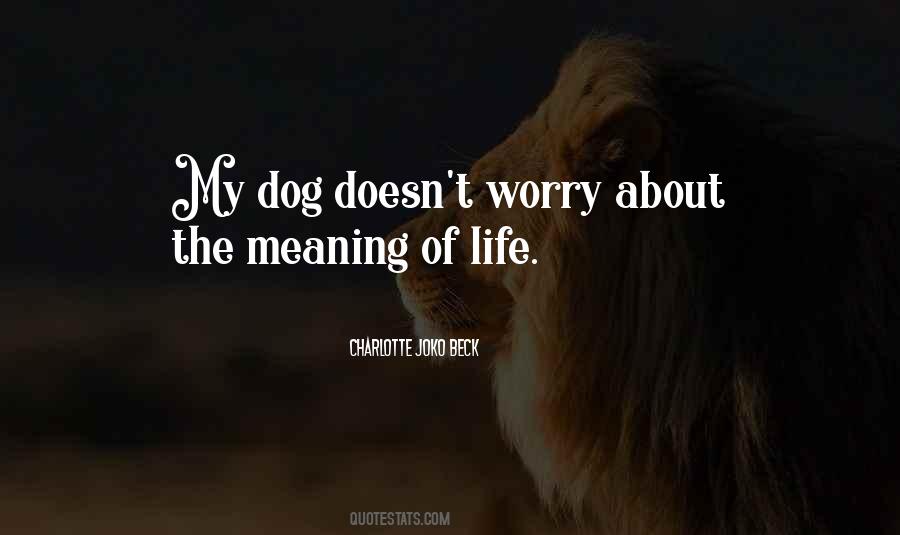Charlotte Joko Beck Quotes #1723843