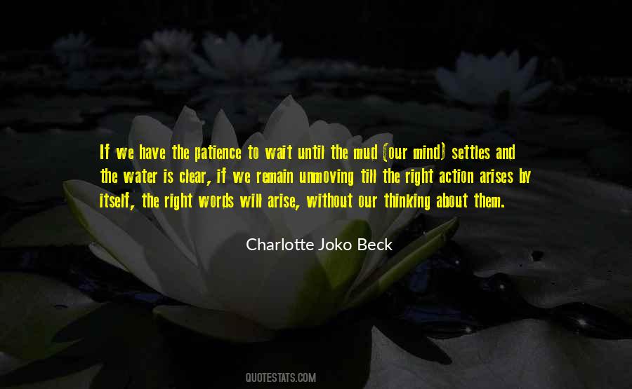 Charlotte Joko Beck Quotes #511732
