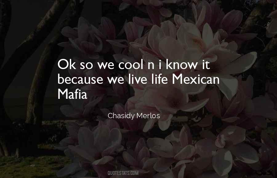 Chasidy Merlos Quotes #1337277