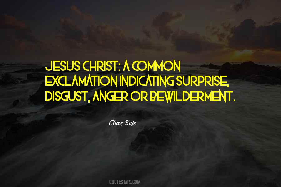 Chaz Bufe Quotes #90244