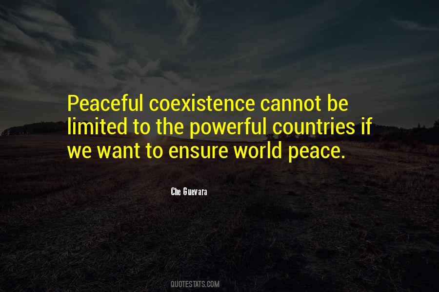 Che Guevara Quotes #1350743