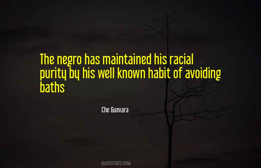 Che Guevara Quotes #1409455