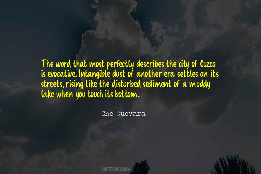 Che Guevara Quotes #157531