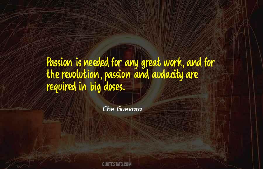 Che Guevara Quotes #310673