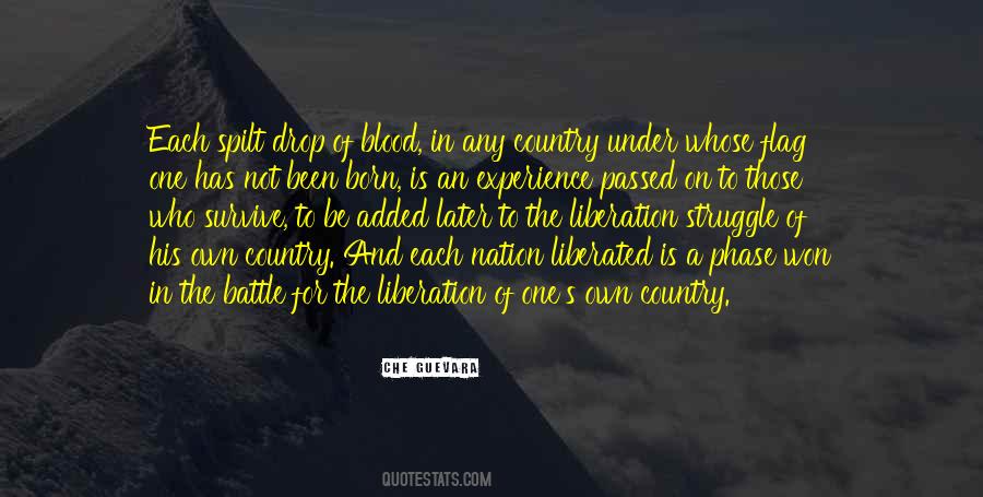 Che Guevara Quotes #530733