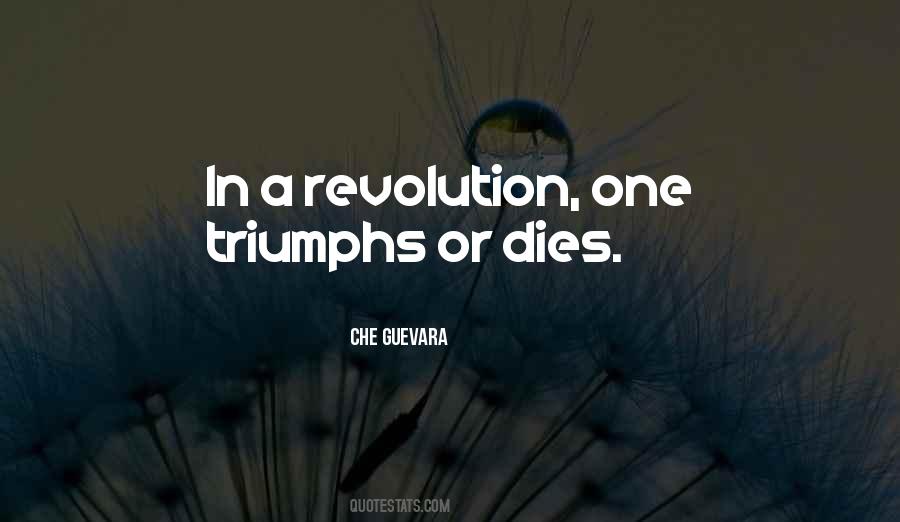 Che Guevara Quotes #678122