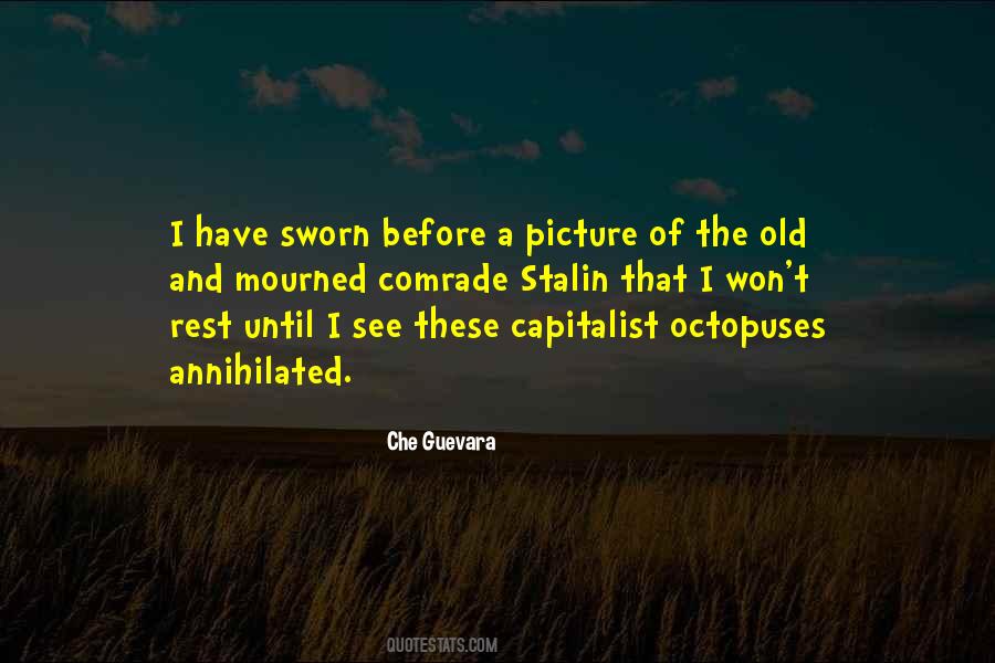 Che Guevara Quotes #702509