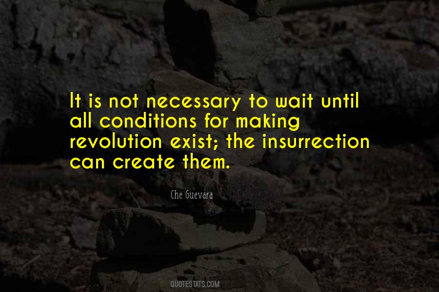 Che Guevara Quotes #72263
