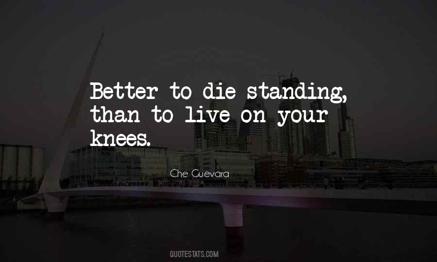 Che Guevara Quotes #736002