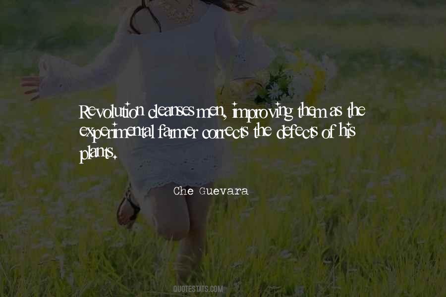 Che Guevara Quotes #971010