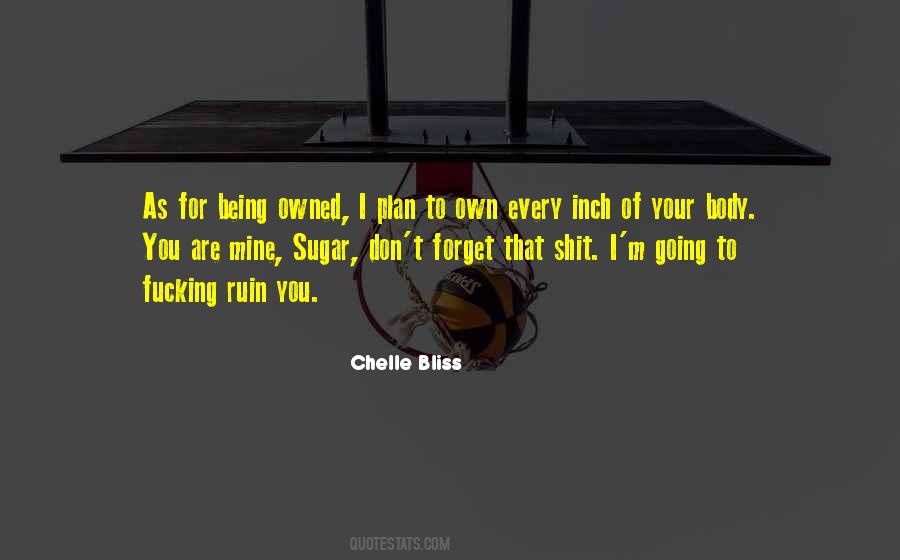 Chelle Bliss Quotes #568067
