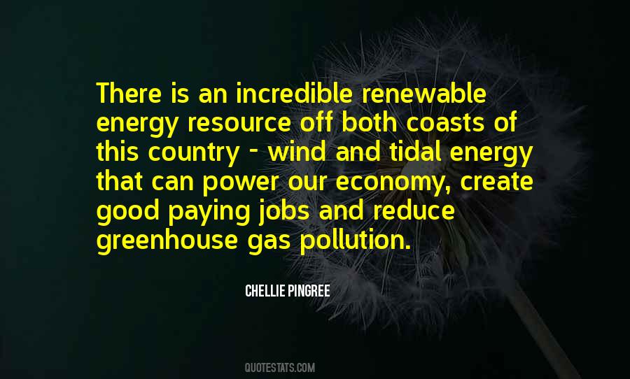 Chellie Pingree Quotes #109194