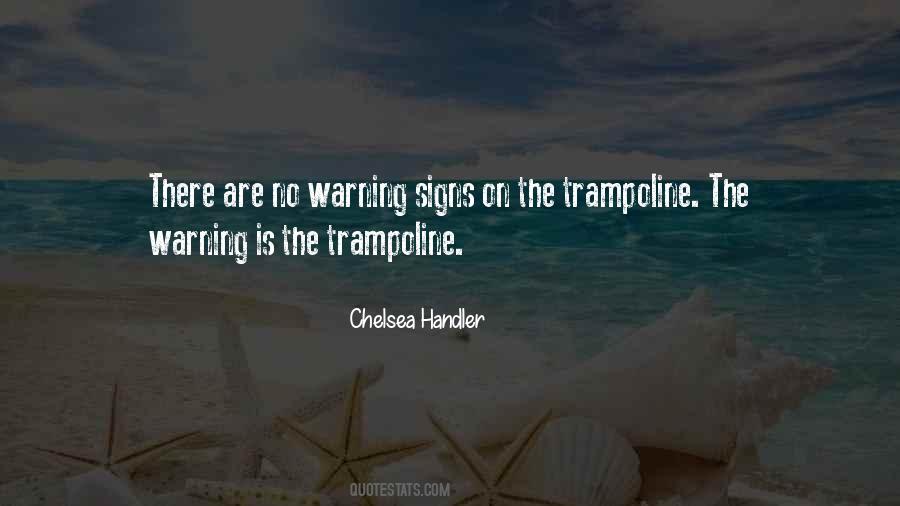 Chelsea Handler Quotes #1367607