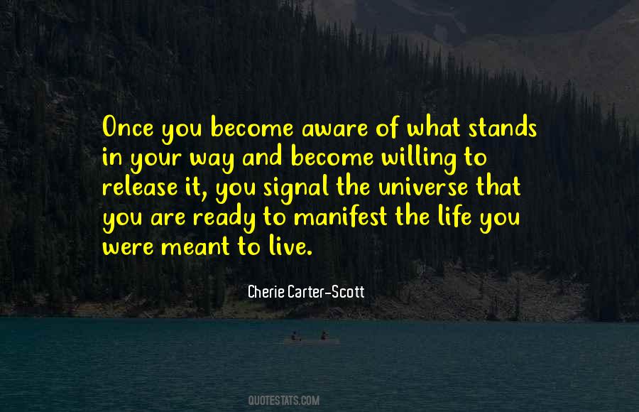 Cherie Carter-Scott Quotes #1106788