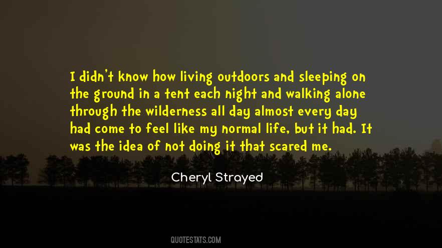 Cheryl Strayed Quotes #1353556